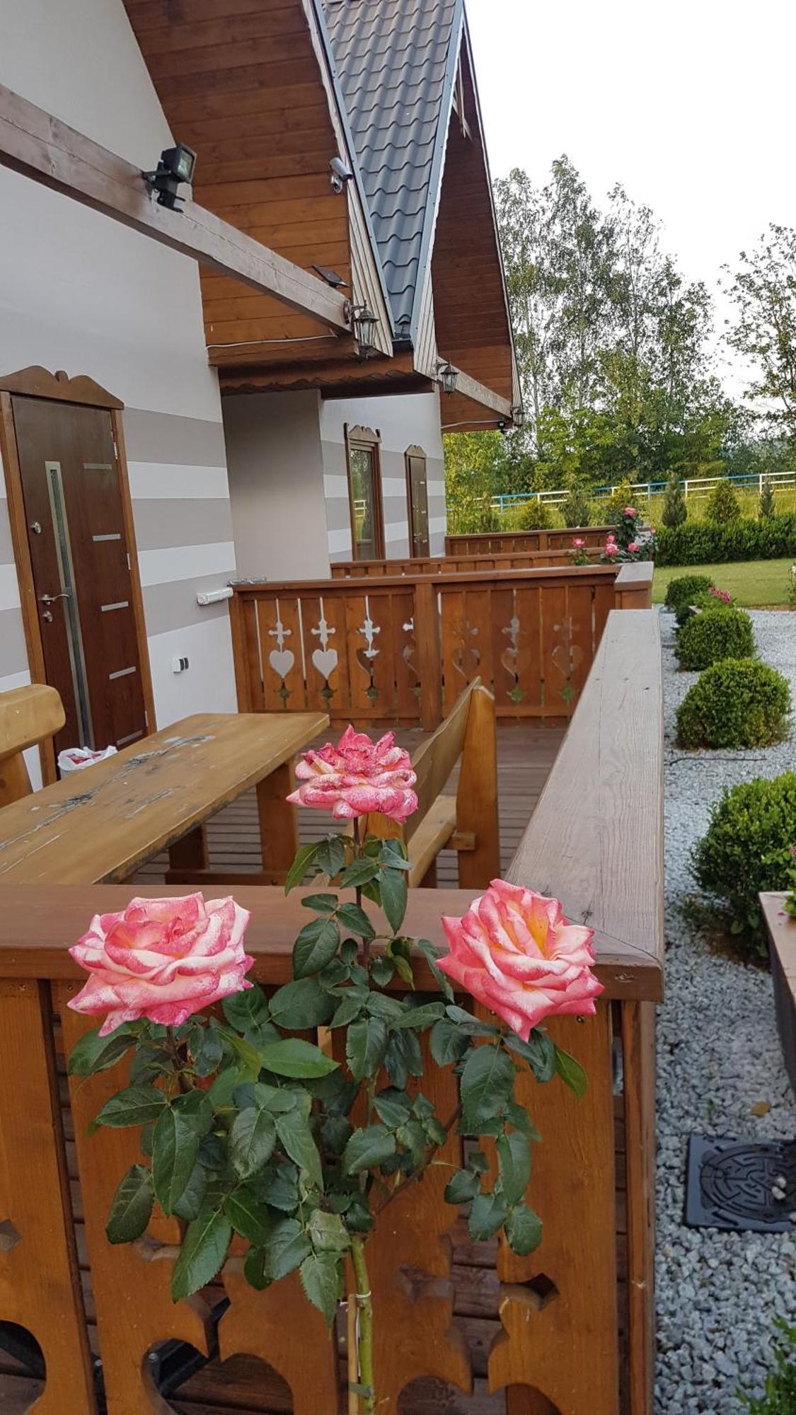 Domki U Justyny Podgórzyn Dış mekan fotoğraf